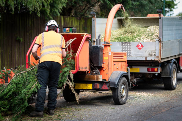 Tree Branch Trimming in Rossville, GA